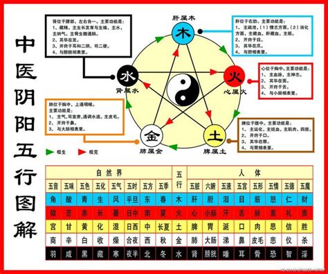 相生相剋 五行|一分钟记住，五行相生相克。